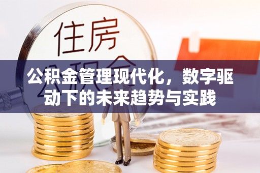 启东公积金管理现代化，数字驱动下的未来趋势与实践