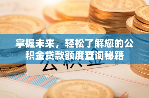 启东掌握未来，轻松了解您的公积金贷款额度查询秘籍
