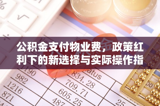 启东公积金支付物业费，政策红利下的新选择与实际操作指南