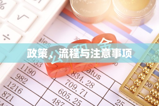 启东政策、流程与注意事项
