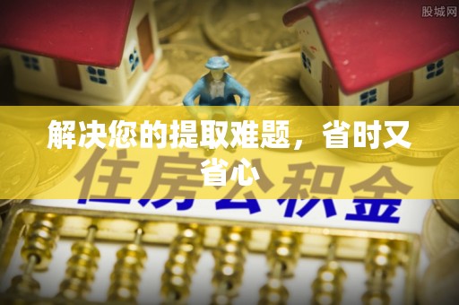 启东解决您的提取难题，省时又省心