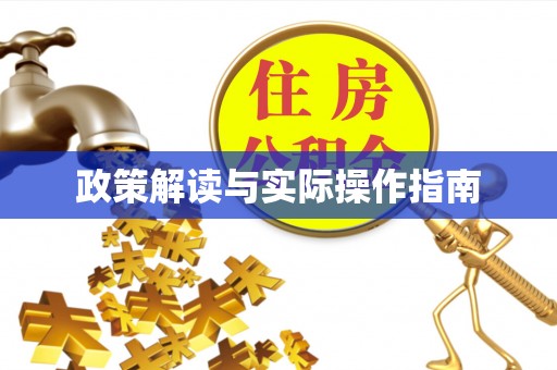 启东政策解读与实际操作指南