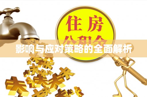 启东影响与应对策略的全面解析