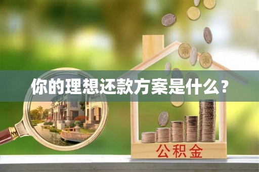 启东你的理想还款方案是什么？