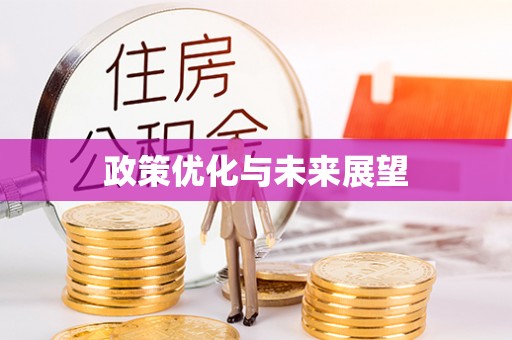 启东政策优化与未来展望