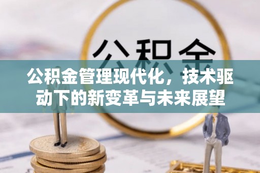 启东公积金管理现代化，技术驱动下的新变革与未来展望