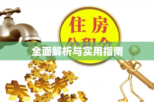 启东全面解析与实用指南